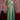 Border Work Sea Green Saree For Function Wear