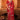 Regal Red Heavy Border Party Wear Saree
