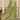 Dazzling Green Color Readymade Suit In Fancy Fabric