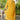 Yellow Color Mesmeric Readymade Suit In Fancy Fabric