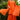 Fancy Fabric Orange Color Excellent Readymade Suit