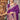 Weaving Designs On Purple Color Silk Fabric Riveting Saree