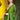 Green Color Fantastic Art Silk Saree With Weaving Work