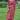 Vaishnavi Andhale Red Color Border Work Pleasant Wedding Wear Dola Silk Saree