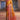 Fashionable Mustard Color Weaving Designs Art Silk Saree