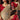 Womens Premium Lace Border Work Ethnic Saree