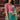 Lace Border Work Cyan Organza Saree
