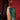 Regal Green Dola Crepe Zari Wedding Saree