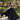 Designer Black Embroidered Anarkali Gown