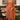 Classic Zari Embroidered Orange Designer Suit