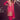 Gorgeous Rani Readymade Palazzo Suit
