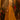 Thread Mirror Work Mustard Georgette Crop Top Palazzo Set