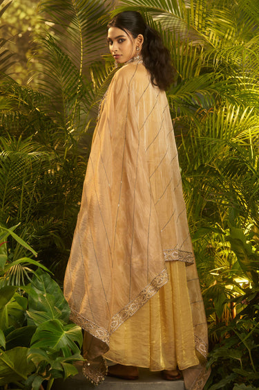 Heavy Embroidered Beige Readymade Anarkali Salwar Suit