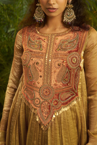 Embroidered Organza Designer Readymade Gown