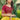 Mustard Color Awesome Georgette Fabric Function Wear Lehenga