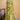 Butterfly Weaving Work Organza Fabric Saree In Green Color
