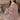Chikoo Color Inventive Pakistani Replica Suit In Georgette Fabric