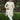 Cream Gorgeous Silk Fabric Wedding Wear Readymade Groom Sherwani For Men