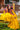 Yellow Haldi Spatial Gown With Jacket