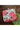 Printed Work On Multi Color Art Silk Gorgeous Clutch