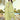 Elegant Sea Green Color Georgette Pakistani Replica Suit with Embroidered Work