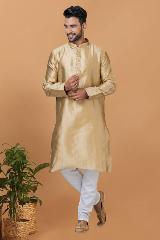 Chikoo Color Readymade Lovely Kurta Pyjama For Men