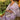 Soothing Art Silk Fabric Party Look Saree In Lavender Color