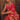 Excellent Satin Fabric Red Color Party Style Saree
