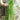Beguiling Green Color Linen Fabric Regular Saree
