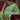Function Wear Fancy Fabric Weaving Work Saree In Sea Green Color