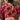 Art Silk Fabric Cream Color Weaving Work Function Wear Winsome Saree