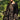 Exclusive Muslin Silk Embroidered Black Pakistani Suit