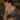 Engaging Navy Blue Color Silk Saree With Weaving Work