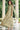 Khaki Color Glittering Net Fabric Party Wear Anarkali Suit